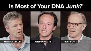 Is Most of Your DNA Junk?
