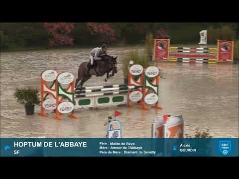 HOPTUM DE L'ABBAYE (Malito de Rêve x Diamant de Semilly) CIR 4ans/4YO Auvers 2021 (1° round)