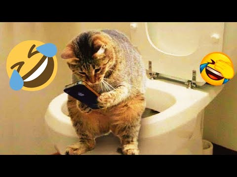 😹You Laugh You Lose 😜| Funniest Cats & Dogs 2025 