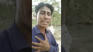 Download lagu Dil Dewani ka dola #bollywood #jiskeaanesemukammalhogayithizindagisong #song #hindisong #love #song mp3 Download lagu Dil Dewani ka dola #bollywood #jiskeaanesemukammalhogayithizindagisong #song #hindisong #love #song mp3