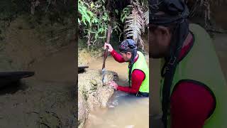 Download lagu Perfect, the process of getting a lump of gold on the edge of the river, amazing #gold #vidio mp3
