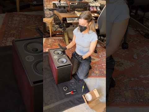 disaster with my speaker