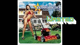 Zebrahead【Wasted】