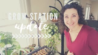 Grow Station Updates