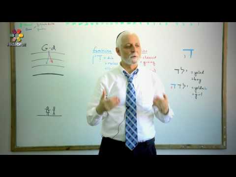 The Mystical Letter Hei - Part 4: Is G-d a He or a She? - Rabbi Yaakov Marcus