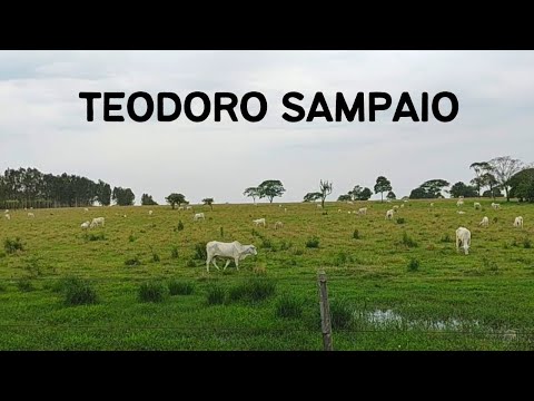 Teodoro Sampaio SP - Passeio da Rota 408 pela cidade de Teodoro Sampaio - 9° Temp - Ep 09