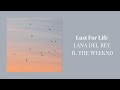 [1 Hour Loop] Lana Del Rey - Lust For Life (feat. The Weeknd)