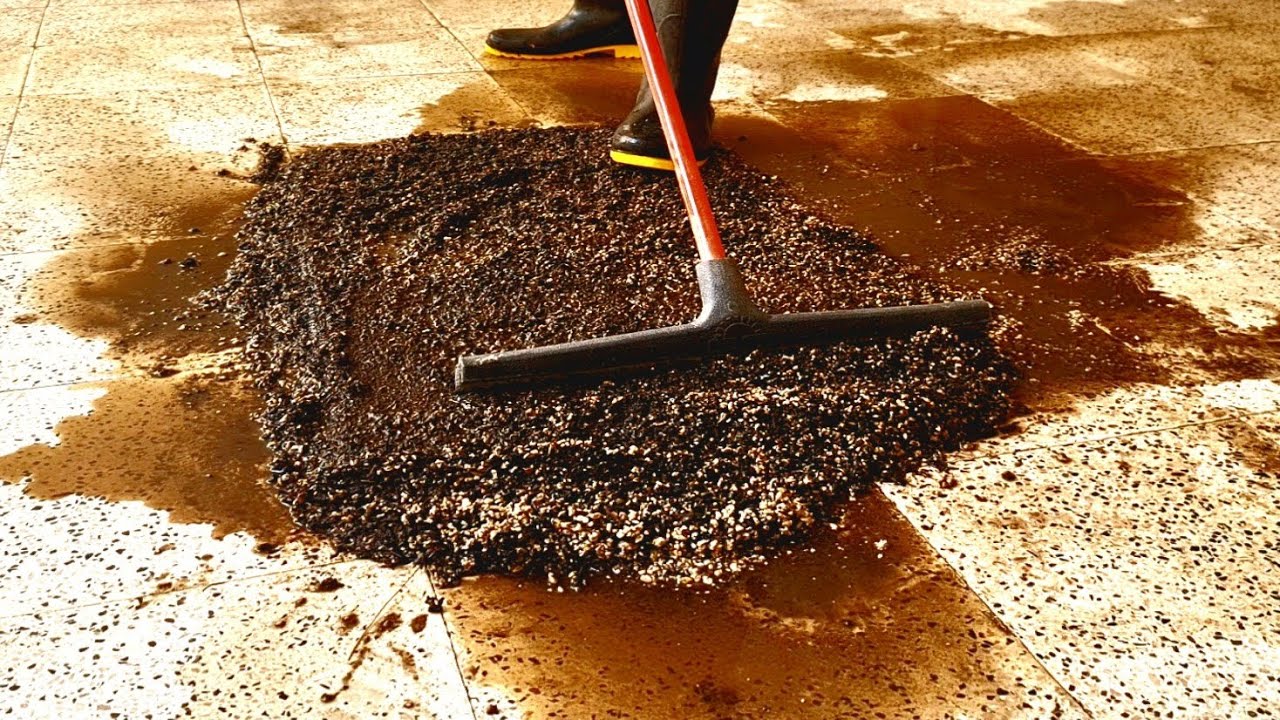 Beyond Belief: How a dirty black carpet was cleaned in a stunning transformation | Satisfying ASMR