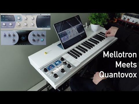 Mellotron Meets Quantovox Apps - RealPhase and Spatializer