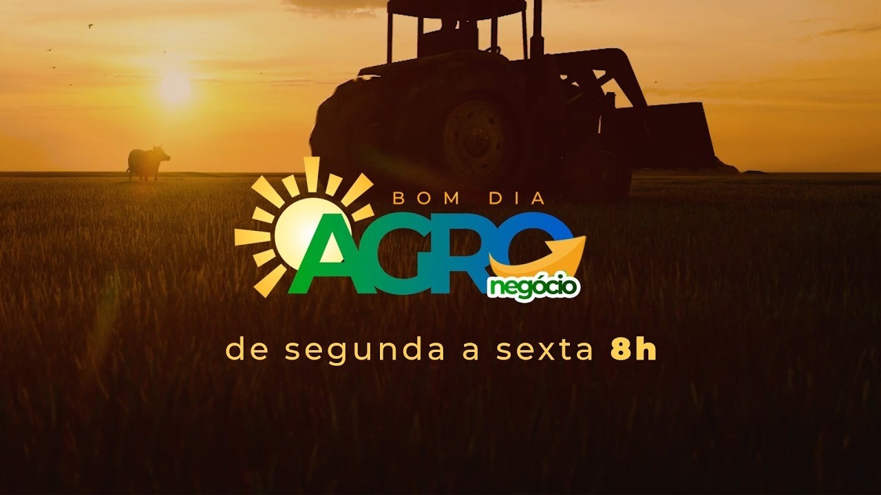 BOM DIA AGRONEGOCIO - EDIÇÃO 10-08-2026