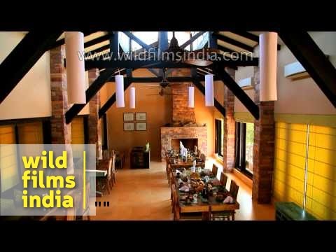 download lagu mp3 mp4 Denwa Backwater, download lagu Denwa Backwater gratis, unduh video klip Denwa Backwater