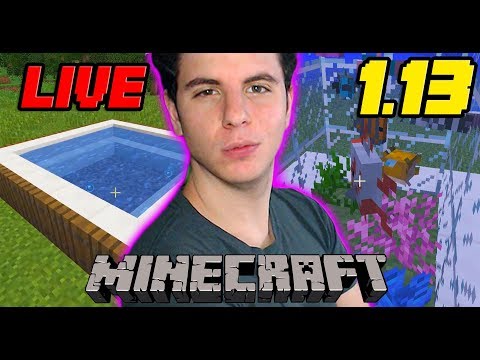 MINECRAFT 1.13 LIVE! LA NOSTRA SERIE