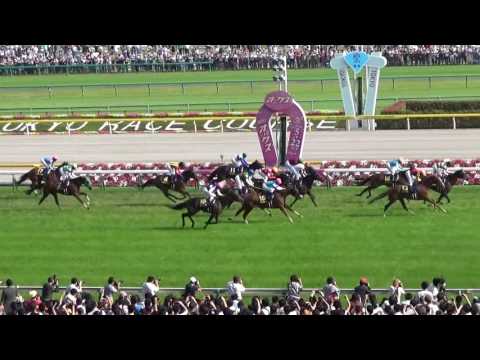 2016 オークス シンハライト  JAPANESE OAKS  Sinhalite