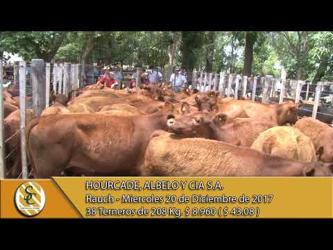 20-12-17 Venta de Machos - Hourcade, Albelo y Cia S.A. - Rauch.