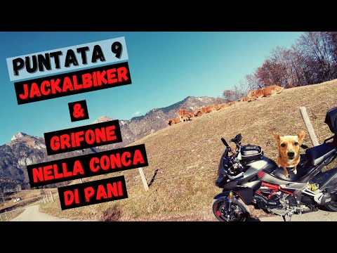 Puntata 9: JackalBiker & Grifone nella conca di Pani