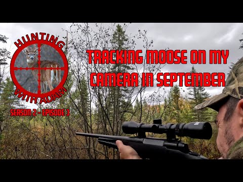 Moose Hunting 2023 - S02E03 - Hunting With Adam