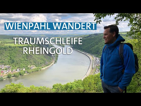 Wandern am Rhein mit Panorama-Aussicht: Traumschleife Rheingold | Wienpahl wandert