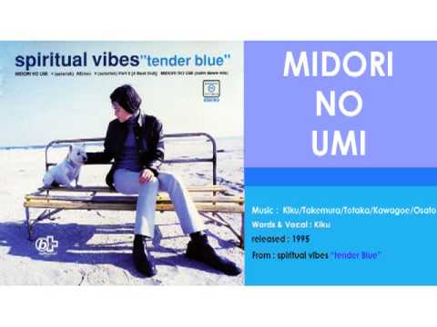 Spiritual Vibes - MIDORI NO UMI (Produced by Nobukazu Takemura)