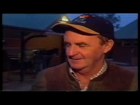 1997/1998 Season (4/5) Apollo Stakes - The Galaxy