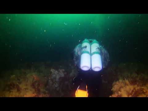 Diving with Tecline : Saltstraumen Tunnelen