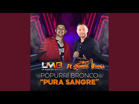 Popurrí Bronco Pura Sangre