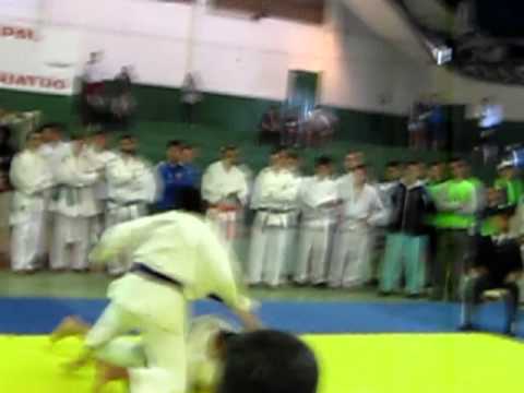 Faustão x porcada - Intermed 2011