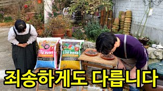 같은 최고급 분갈이 흙이 아닙니다(공동구매 중)