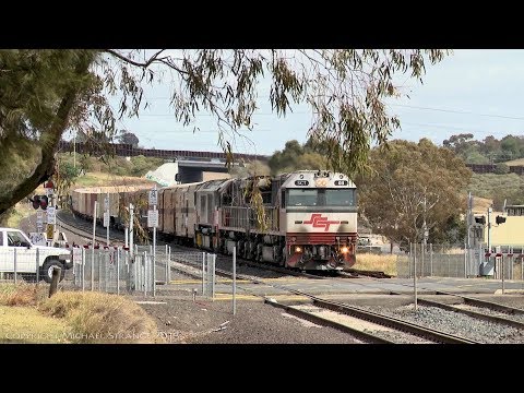 SCT 2PM9 Freight Train At Level Crossing - PoathTV Australian Railways