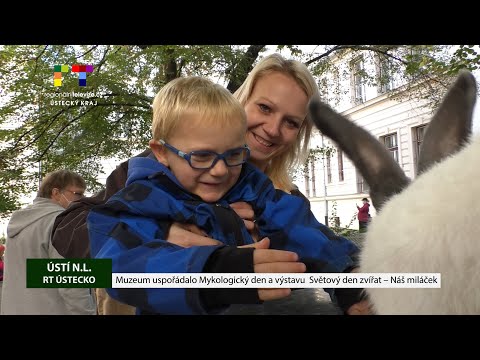ÚSTÍ NAD LABEM: Muzeum uspořádalo Mykologický den a výstavu Světový den zvířat- Náš miláček