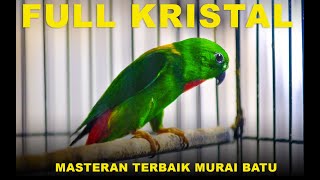Download lagu Burung Serindit Full Nembak Kristal  #serindit #birds #masteranburung #pancinganmuraibatu mp3