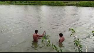 The dead body in chikmagalur pond