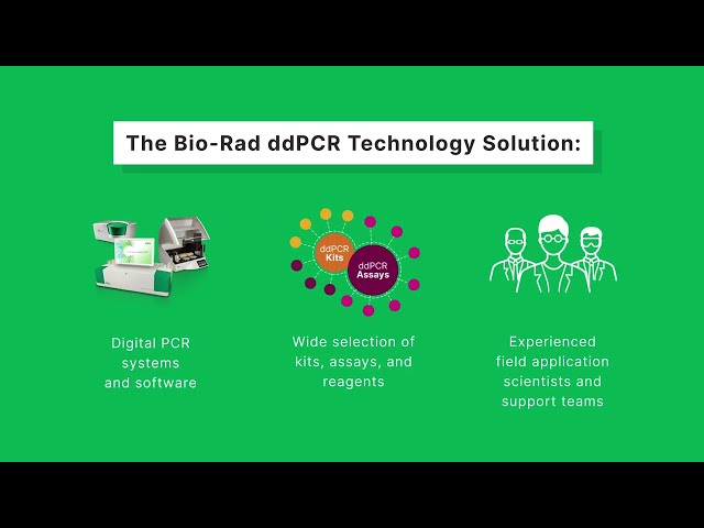 Determinação do rácio entre cápsides vazias e completas para terapias genéticas baseadas em AAV