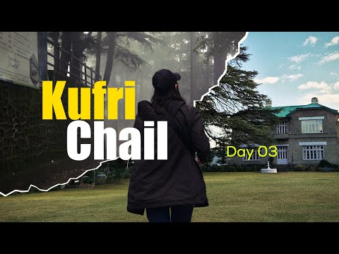 EP - 3 Kufri & Chail Tour from Shimla | Best Places to Visit, Things to Do & Travel Guide