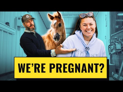 How Can We Have THAT Many Babies? | Breeding Horses 101