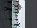 Nee Kalani Pattukku 4k Video