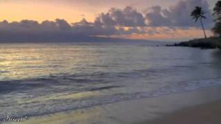 ●•●• Pooh ~ Una Donna Normale •●•●