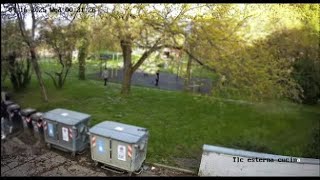 Il video dell'aggressione al parco con il machete: un quindicenne resta sfigurato