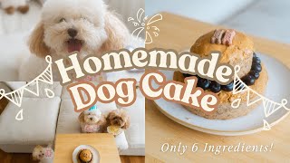How to Bake a Dog Birthday Cake with Only 6 Ingredients! (Easy & Healthy Recipe)