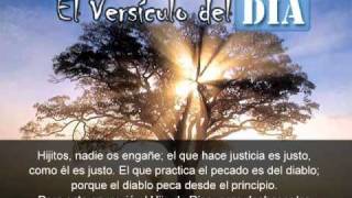 Miniatura del video: El versiculo del dia .com - 1 Juan 3 v7-8