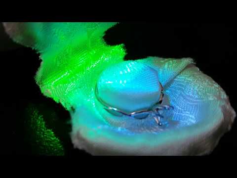 seashell engagement ring box