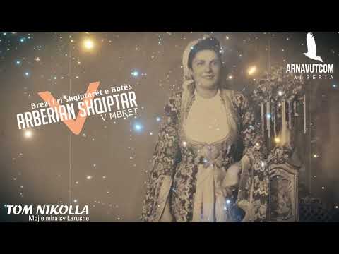Tom Nikolla ❤️ Moj e mira sy larushe - ARBERIAN SHQIPTAR
