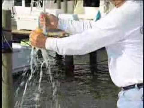 Cleaning Tips: Lesson on proper boat washing