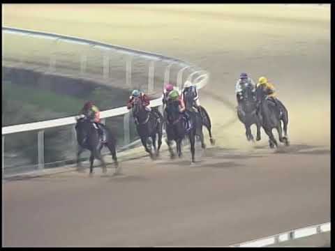 2018-11-20 Race 6(0066) - THE MATAMATA