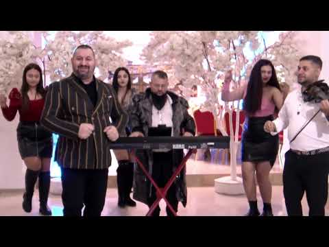 Toci De La Timisoara - acalaule galbii sea