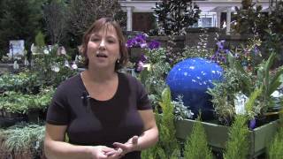 How to Grow Plants & Flowers : How to Grow Zinnia Flowers From Seeds