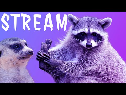 CO TU SIĘ WYDARZYŁO TO JA NAWET NIE | STREAM