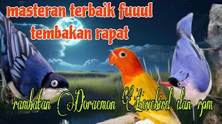 Download lagu Masteran terbaik full tembakan rapat 🔥🔥 rambatan Doraemon Lovebird dan rpm mp3
