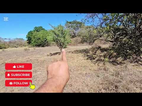 Se vende 6 manzanas en canton cihuatan el paisnal san salvador  