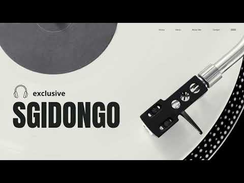 Hotfurze & Lowbass djy - alkaline (sgidongo feel)