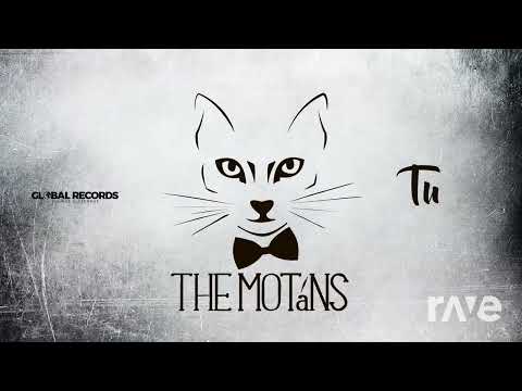 The Motans i Minelli i Sickotoy - Addicted x Tu (Official Video 2022)